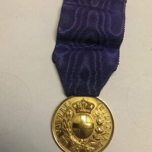 Italian  Medal of Valor Gold /highest class(WW2)